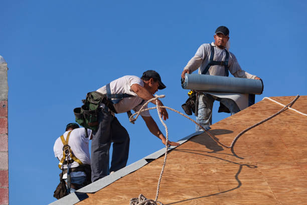Best Roof Gutter Cleaning  in Astor, FL